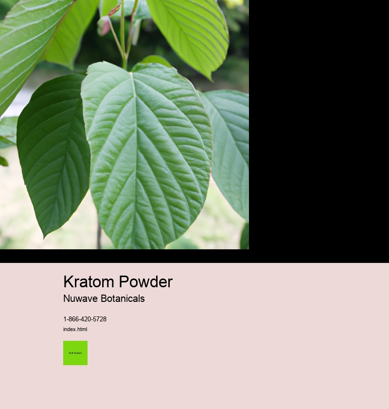 Kratom Powder